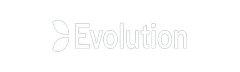 Провайдер Evolution