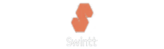 Провайдер Swintt